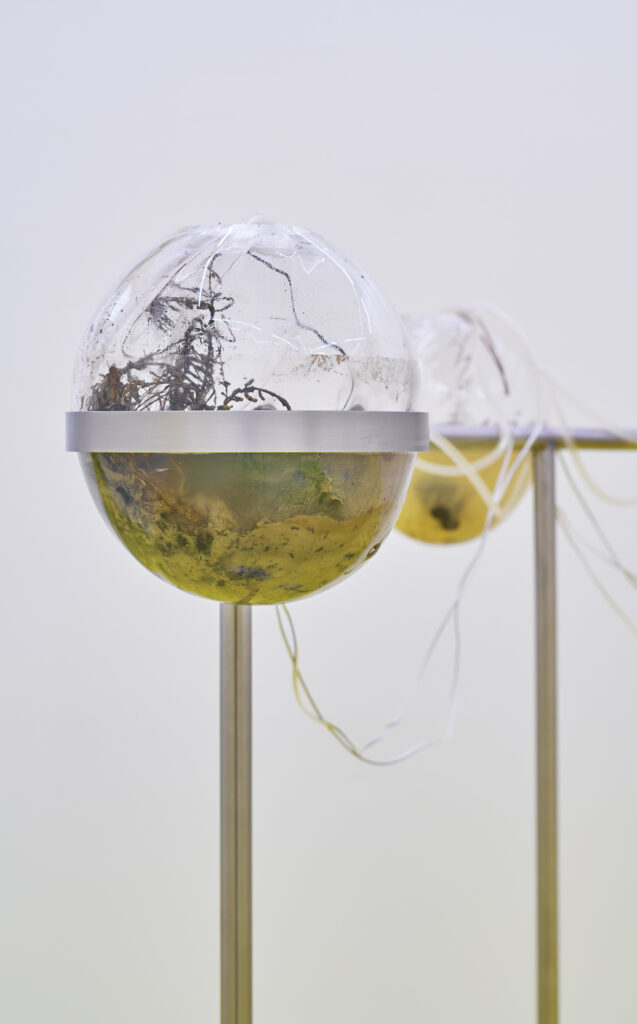 DOOM DOOM MICROBIAL ZOOM 07